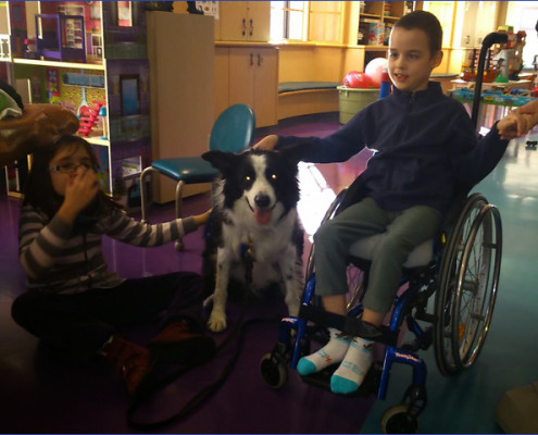 Milán terápiás kutyával Amerikában - Gyermekek belföldön és külföldön történő gyógykezelésének támogatása, májtranszplantáció, gerincműtét, gyermek szívműtétek, különleges műtétek
